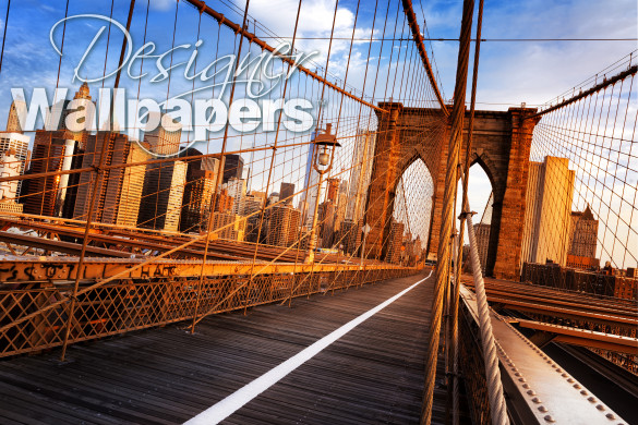 Sunshine over Brooklyn Bridge 