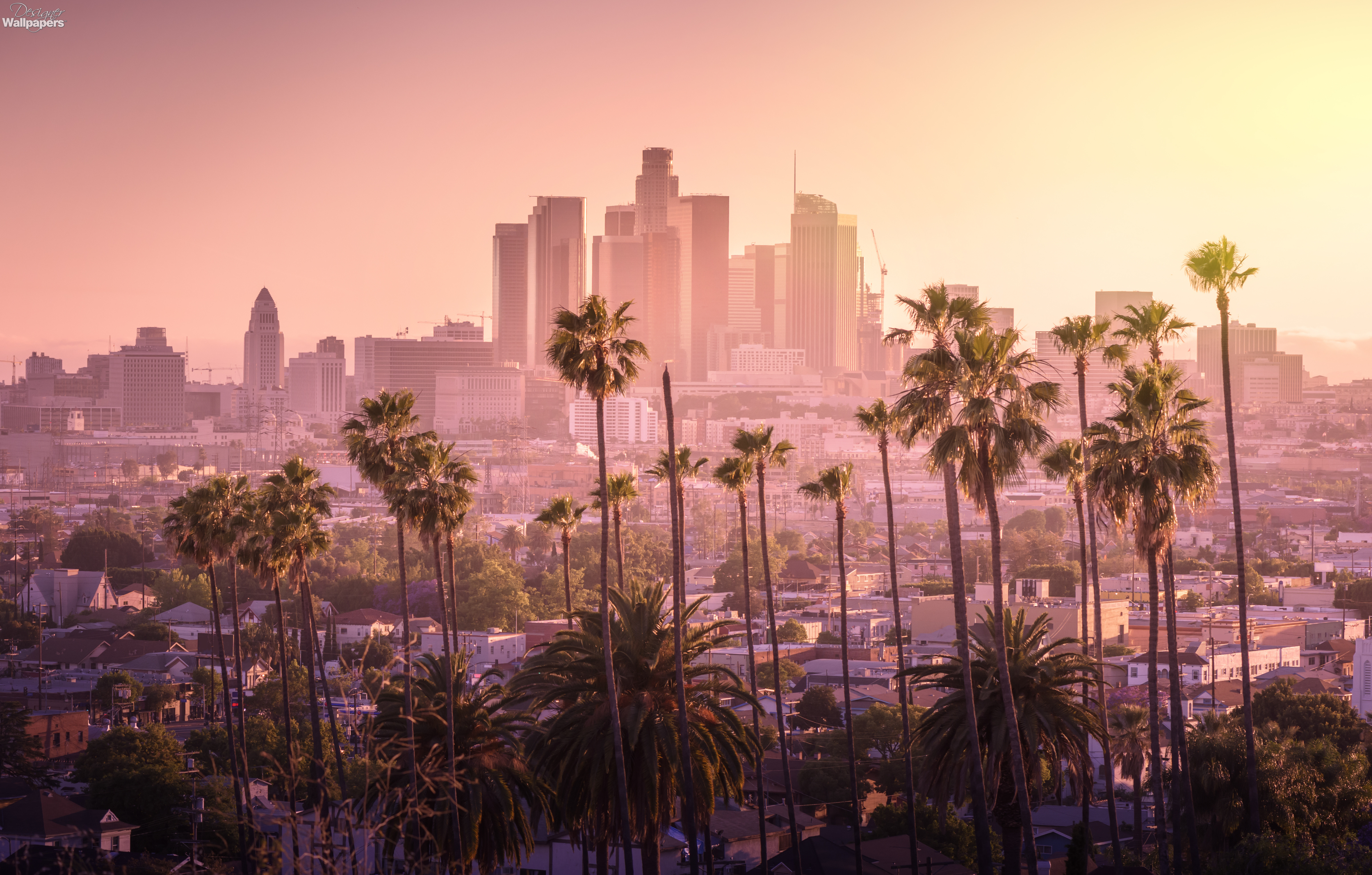 LA Beach, cali, los angeles, palm trees, HD phone wallpaper | Peakpx