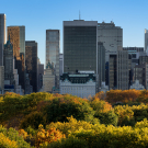 Central Park and Manhattan skyscrapers