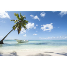 Idealic Caribbean coastline with boat