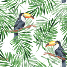 Palm leaves and Toucan