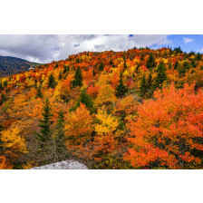 Fall off The Blue Ridge Parkway