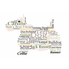 Dog word cloud illustration